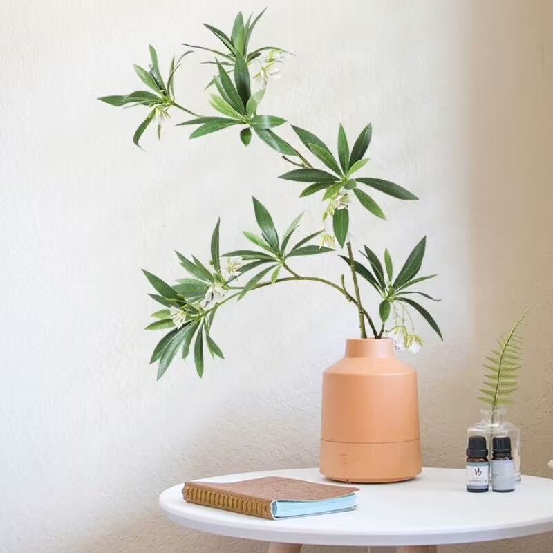 35.43 Inch Artificial Water St - Dracaena Marginata 评论和价格