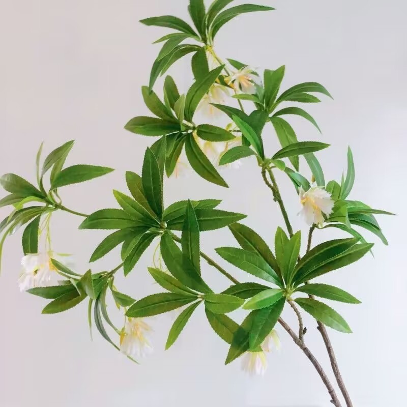 35.43 Inch Artificial Water St - Dracaena Marginata 评论和价格