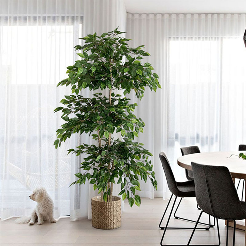 70in Ficus Artificial Tree Lar - Dracaena Marginata 评论和价格