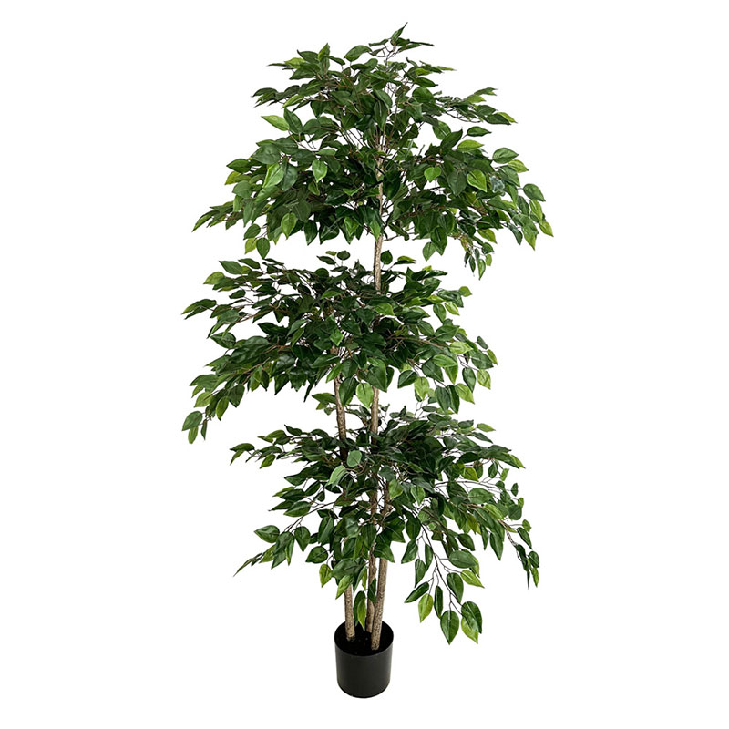 70in Ficus Artificial Tree Lar - Dracaena Marginata 评论和价格