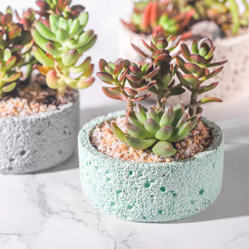 Nordic cement flowerpot simple - Echeveria Succulent 评论和价格