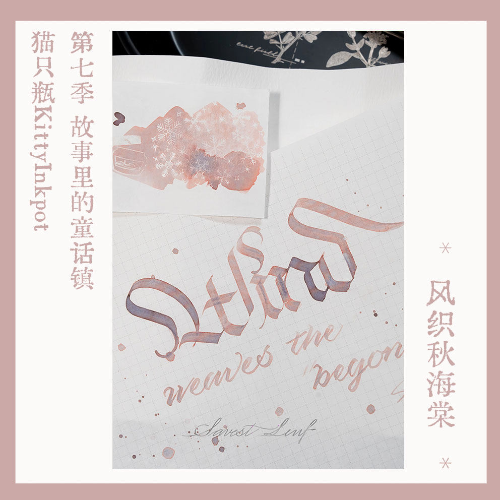 KittyInkpot Begonia Rex Color  - Begonia Rex 评论和价格