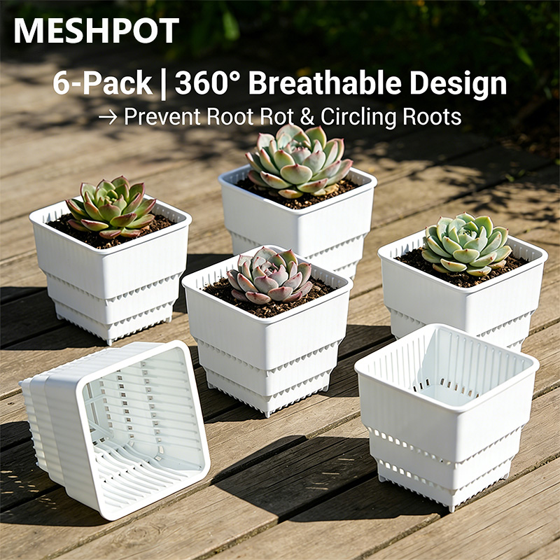 MESHPOT 6-Pack Square Pots for - Echeveria Succulent 评论和价格