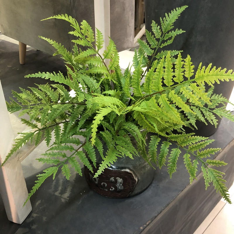 1pcs Artificial Plants Bedroom - Dracaena Marginata 评论和价格