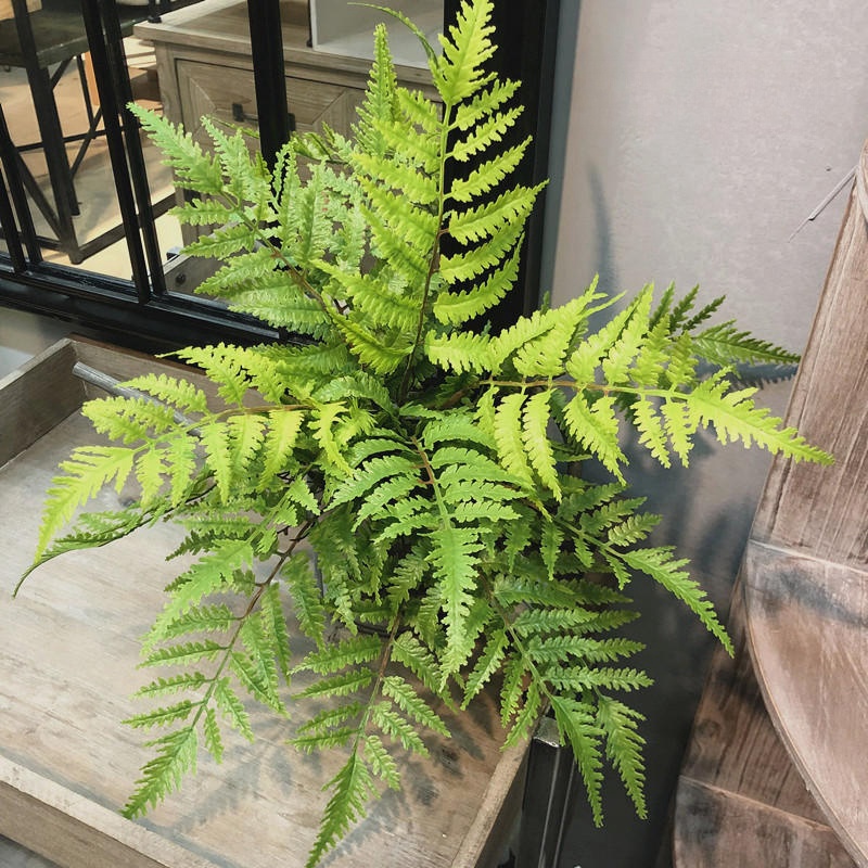 1pcs Artificial Plants Bedroom - Dracaena Marginata 评论和价格