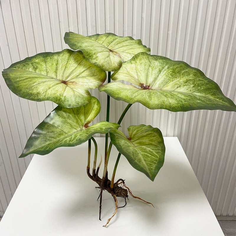 Lifelike Large Lotus Leaves wi - Dracaena Marginata 评论和价格