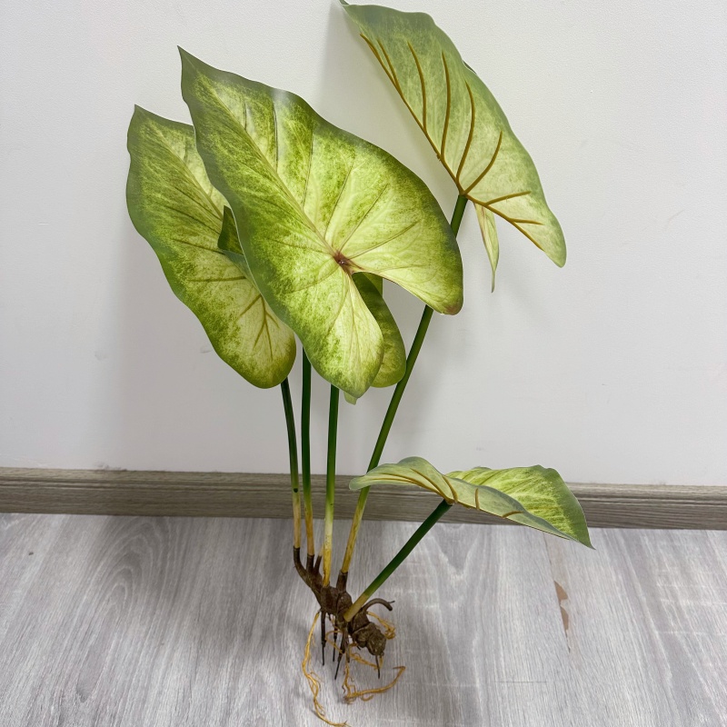 Lifelike Large Lotus Leaves wi - Dracaena Marginata 评论和价格