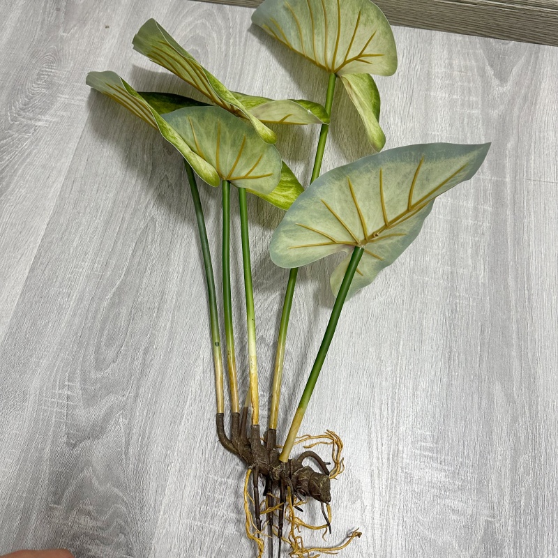 Lifelike Large Lotus Leaves wi - Dracaena Marginata 评论和价格