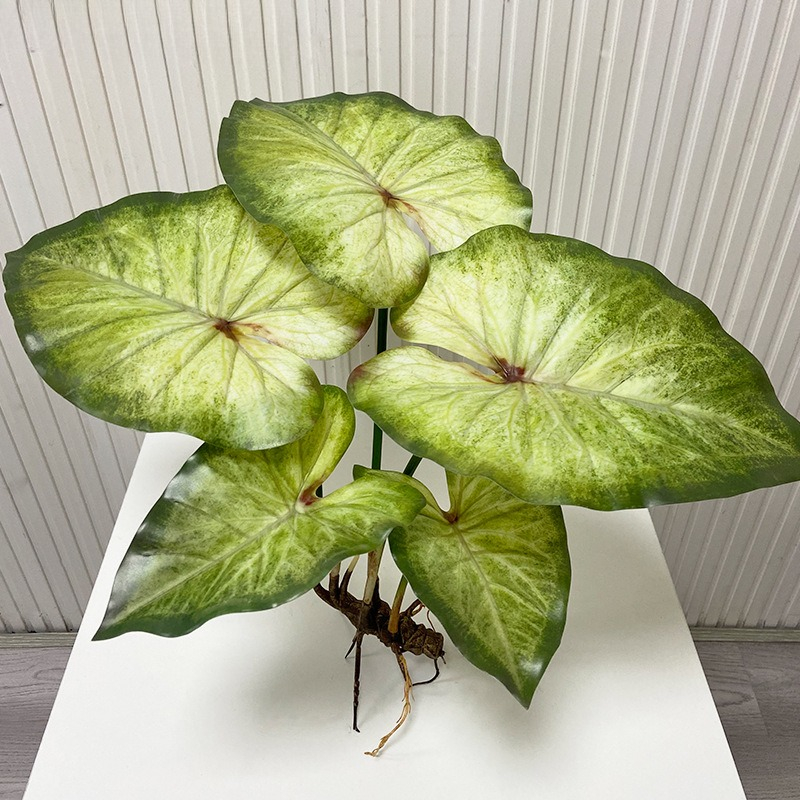 Lifelike Large Lotus Leaves wi - Dracaena Marginata 评论和价格