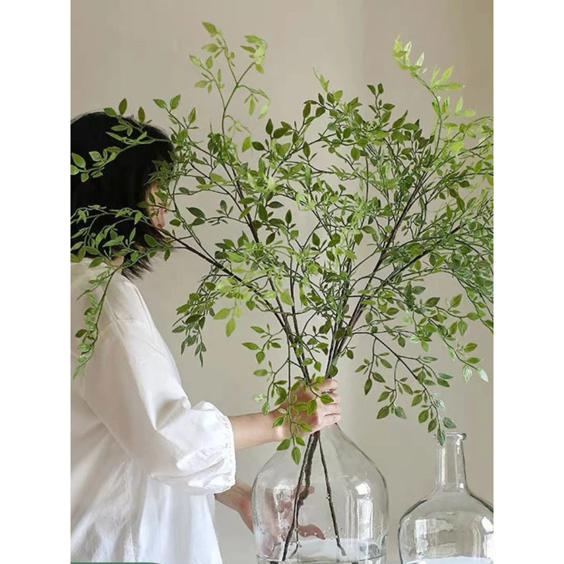 Artificial single branch3Artif - Dracaena Marginata 评论和价格