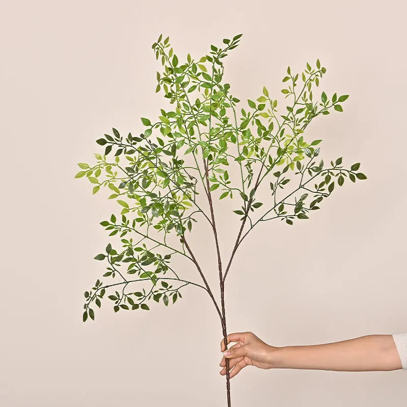 Artificial single branch3Artif - Dracaena Marginata 评论和价格