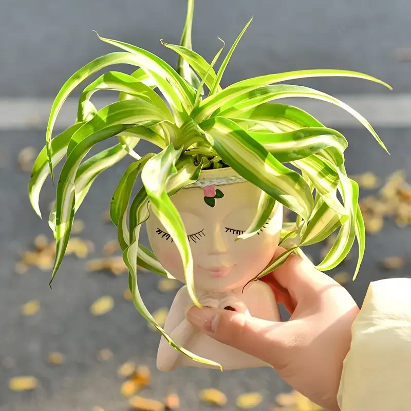 Heart‑Handed Girl Resin Succul - Echeveria Succulent 评论和价格