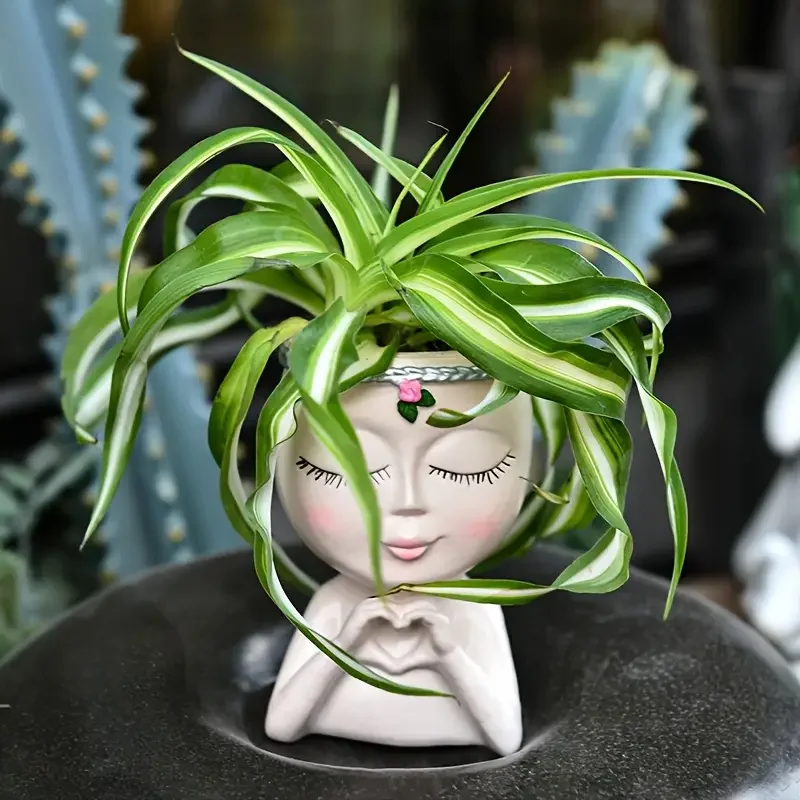 Heart‑Handed Girl Resin Succul - Echeveria Succulent 评论和价格