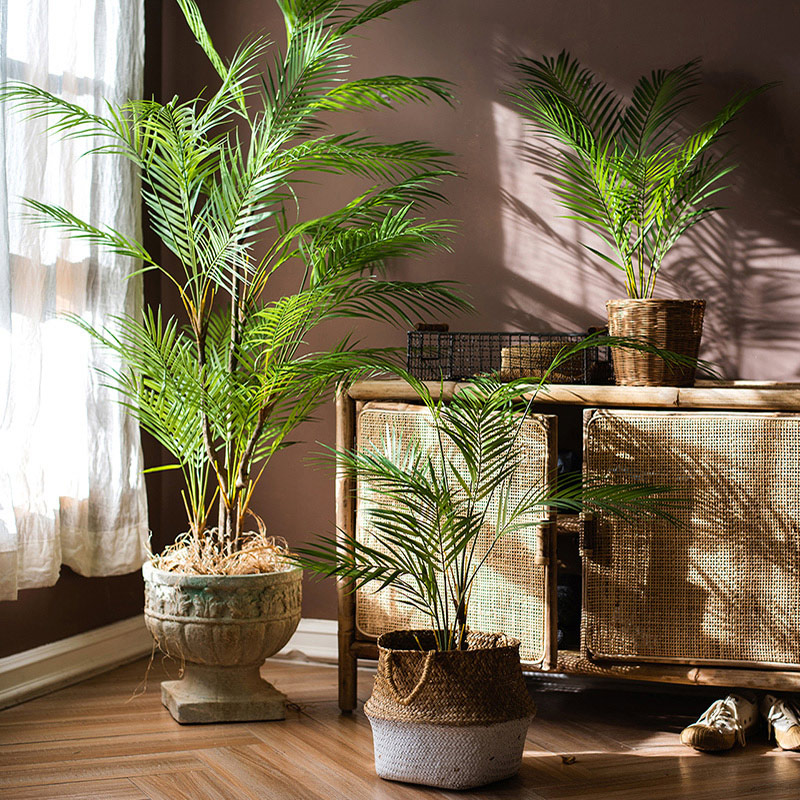 125cm Large Artificial Palm Tr - Dracaena Marginata 评论和价格