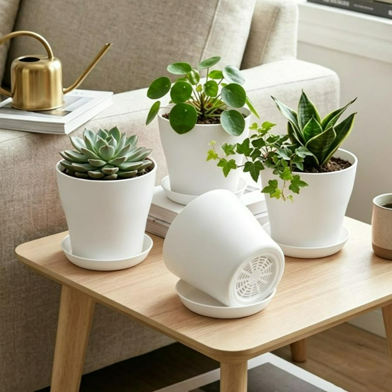 Plant Pot Set with Drainage Ho - Aloe Vera Pot 评论和价格