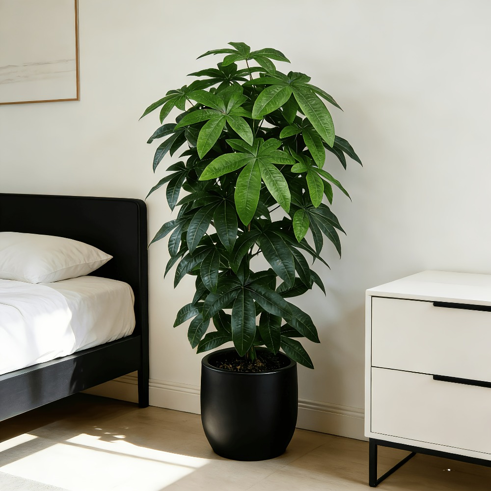 An Artificial Money Tree Pachi - Monstera Adansonii 评论和价格